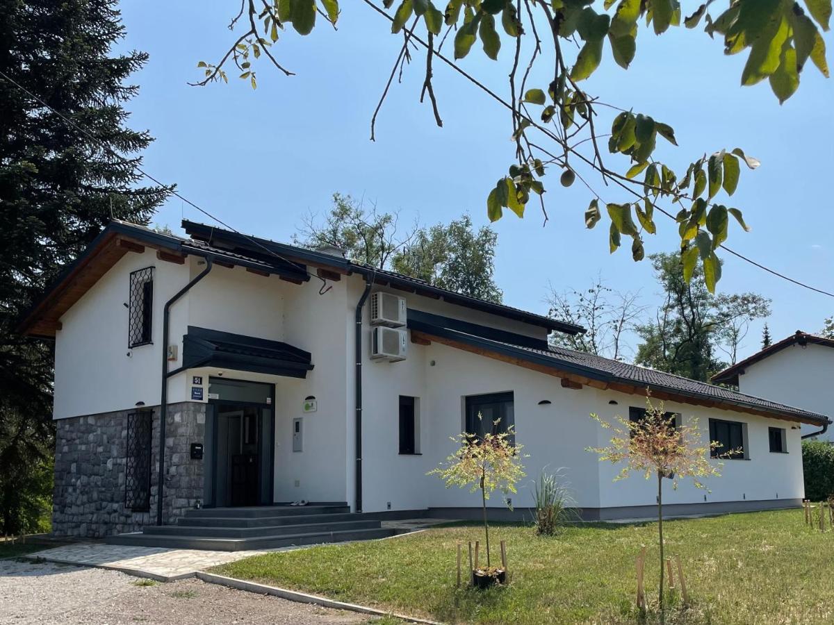 Pampas Mreznica